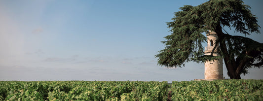 Bordeaux 2024 2% Credit Offer